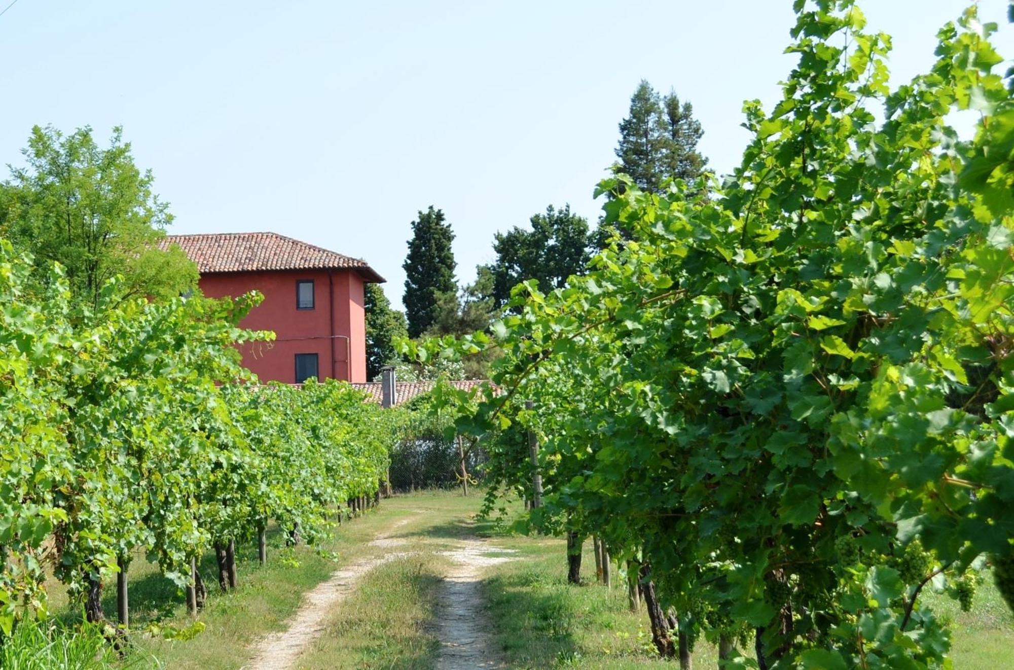 Agriturismo Isola Augusta Palazzolo dello Stella Exterior photo